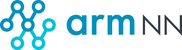 Inference runtime and parser flow visual